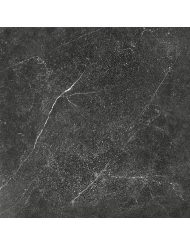 Tau soapstone graphite brillant (Lot 29,16 m²)