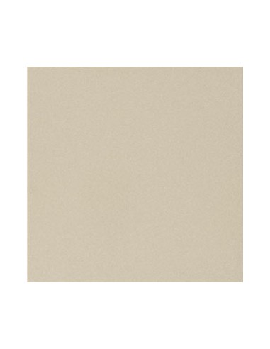Gala + plinthes (Lot 21,85 m²)